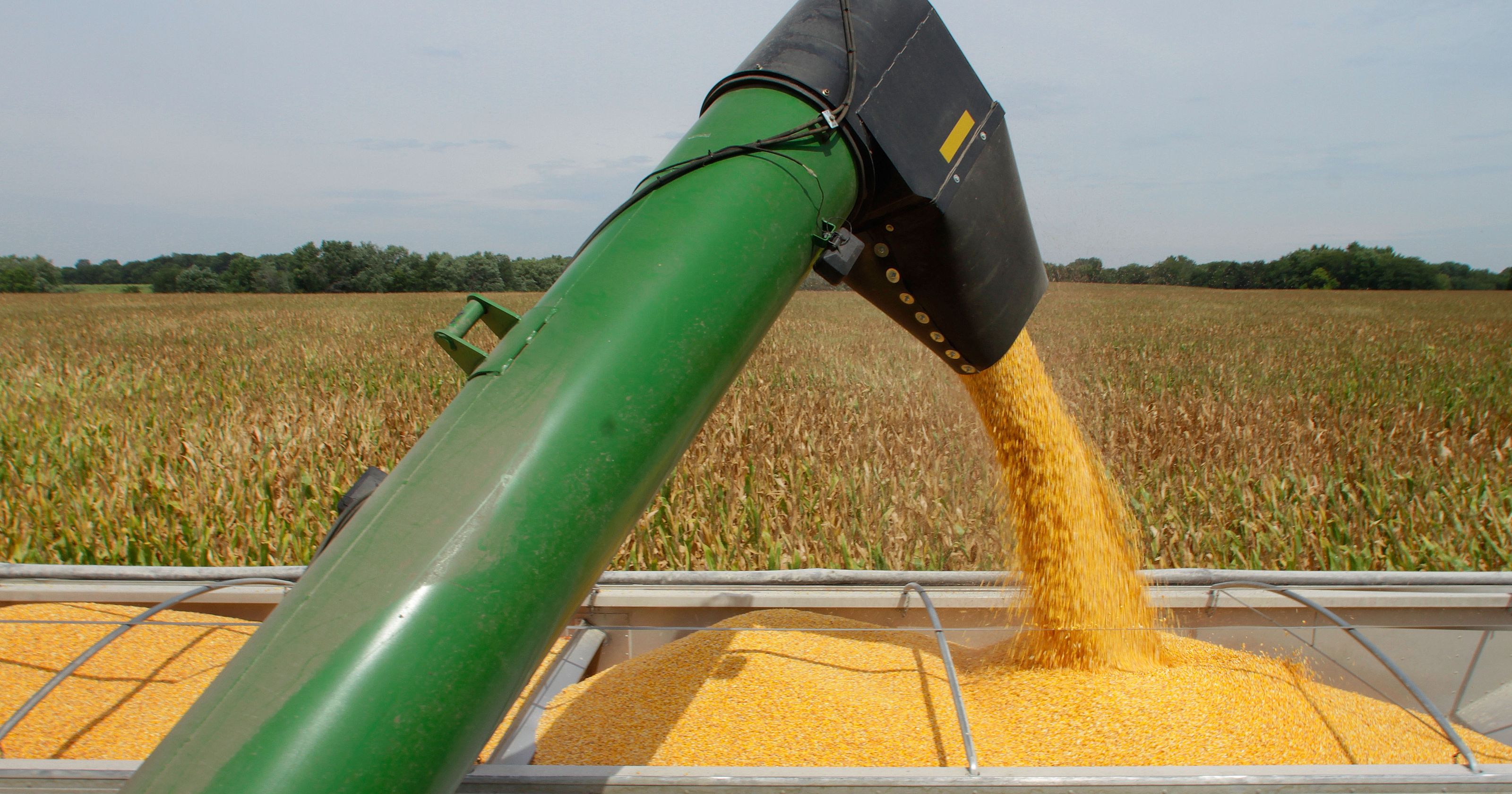 Soja Ainda Rende Lucro De Foco Rural O Agro Fala Voc Entende