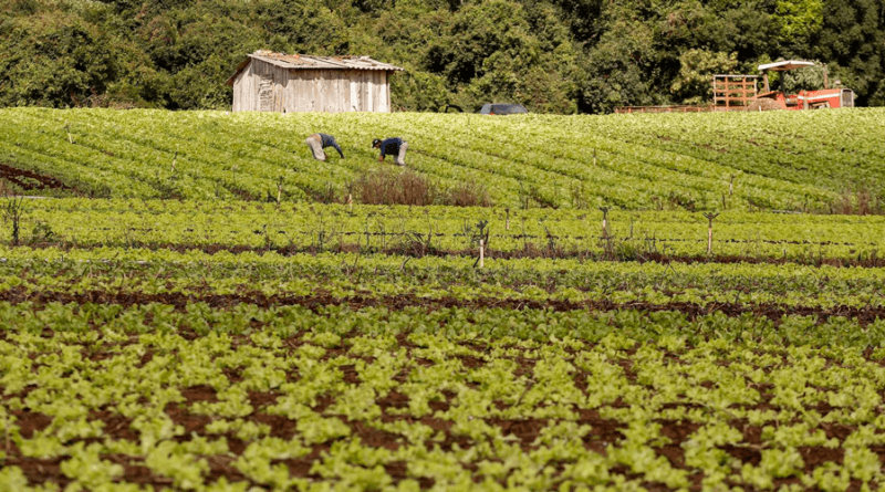 Expedição traça perfil da Agricultura Familiar de Norte a Sul do Brasil