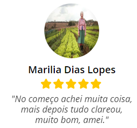 An Lise Do Solo Voc Conhece A Real Import Ncia Foco Rural O Agro