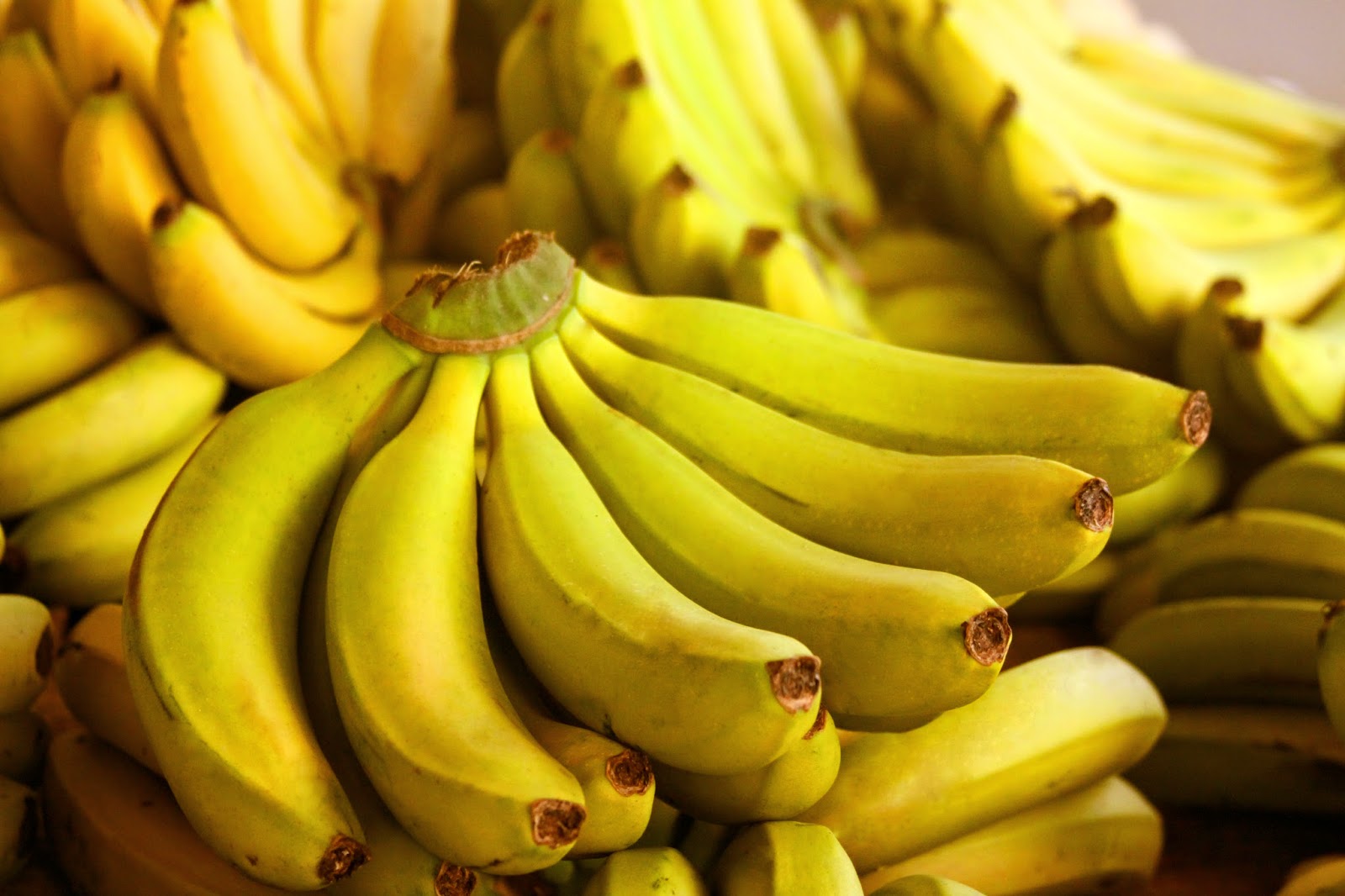 Бананас фрукт Мадейра